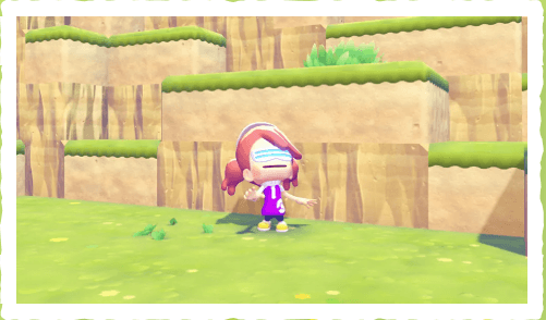 Switch2宝可梦Pokopia网络卡顿？别急，这份保姆级加速教程让你联机对战稳如泰山